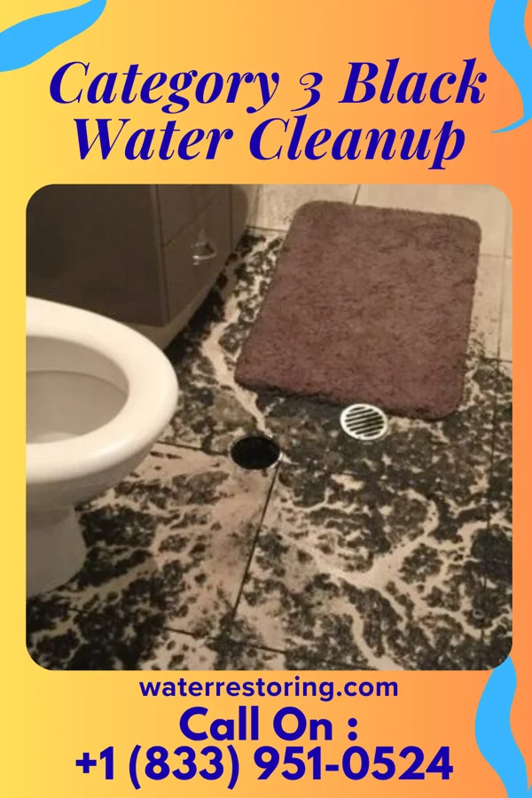 Category 3 Black Water Cleanup in Goodridge, MN