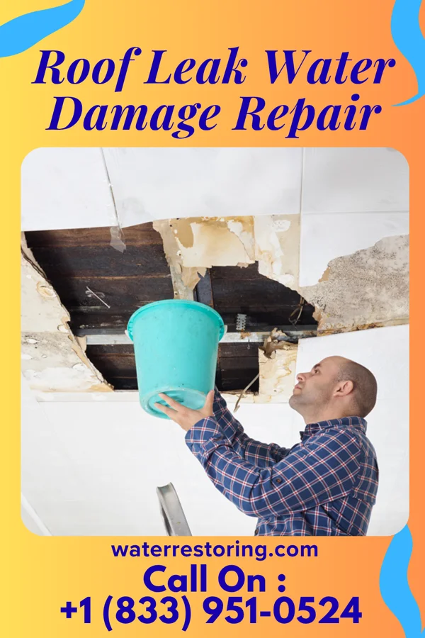 Roof Leak Water Damage Repair in Goodridge, MN